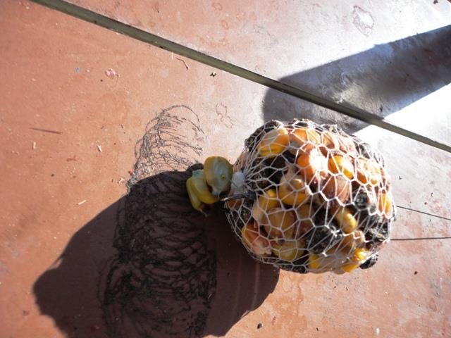 delta rosu 2011 - dsc00877.JPG